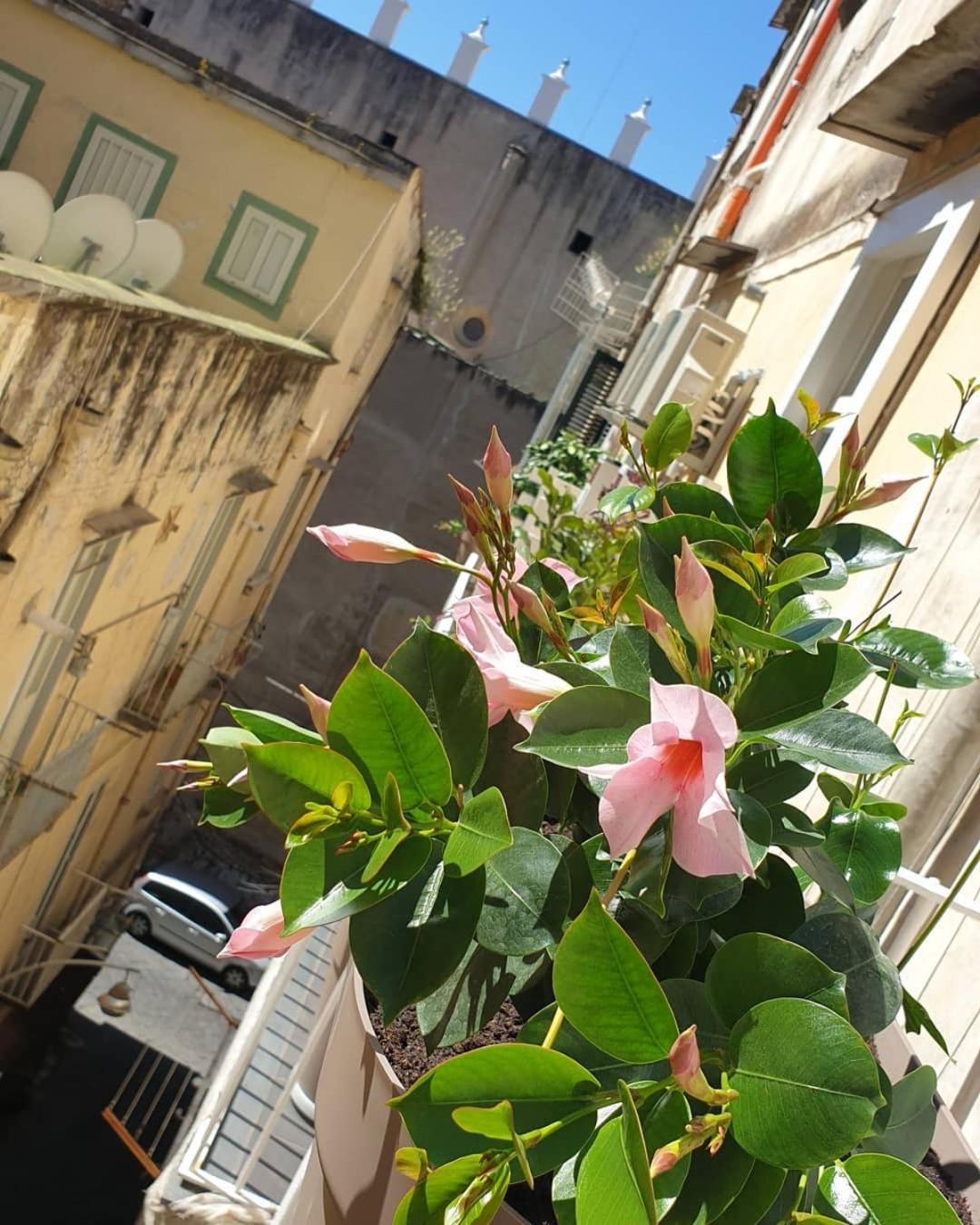 Santa Chiara 4* Napoli