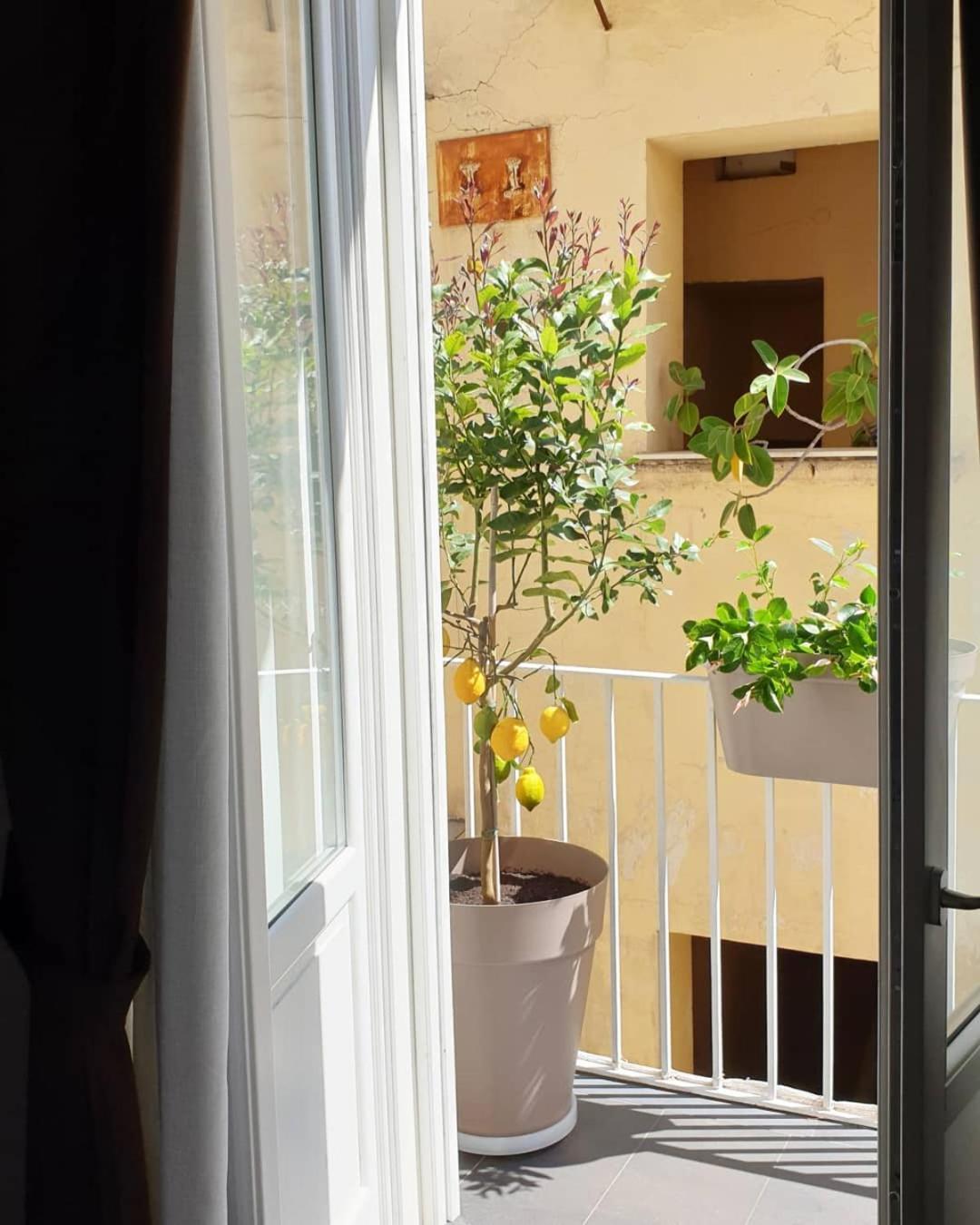 Santa Chiara Bed & Breakfast Napoli